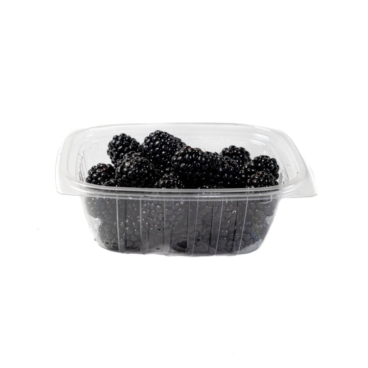 Blackberries - Small - The Orchard
