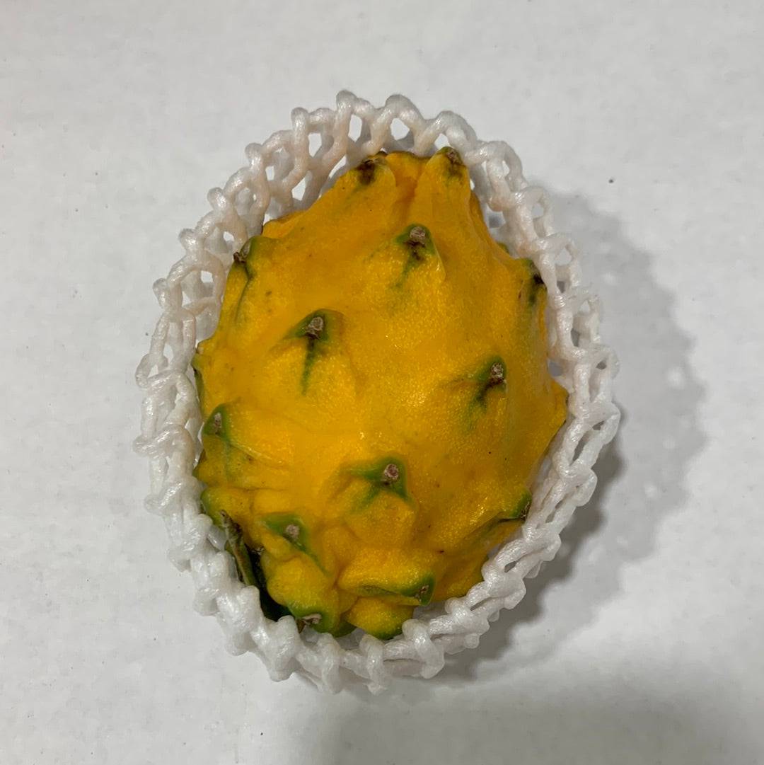 Dragon Fruit ( Yellow ) - Lb - The Orchard