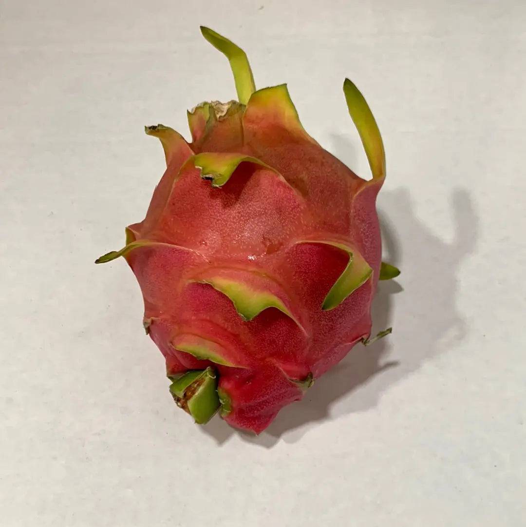 Dragon Fruit (White ) - Lb - The Orchard