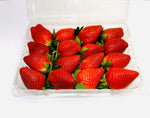 Strawberry Long Stem - Cont - The Orchard Fruit