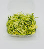 Zucchini Spaghetti - Sm Cont. - The Orchard