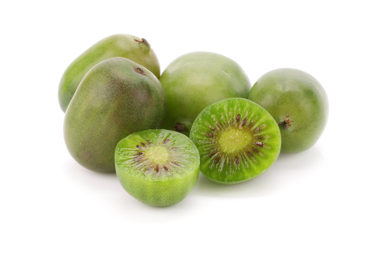 Baby Kiwi Berries - Cont - The Orchard