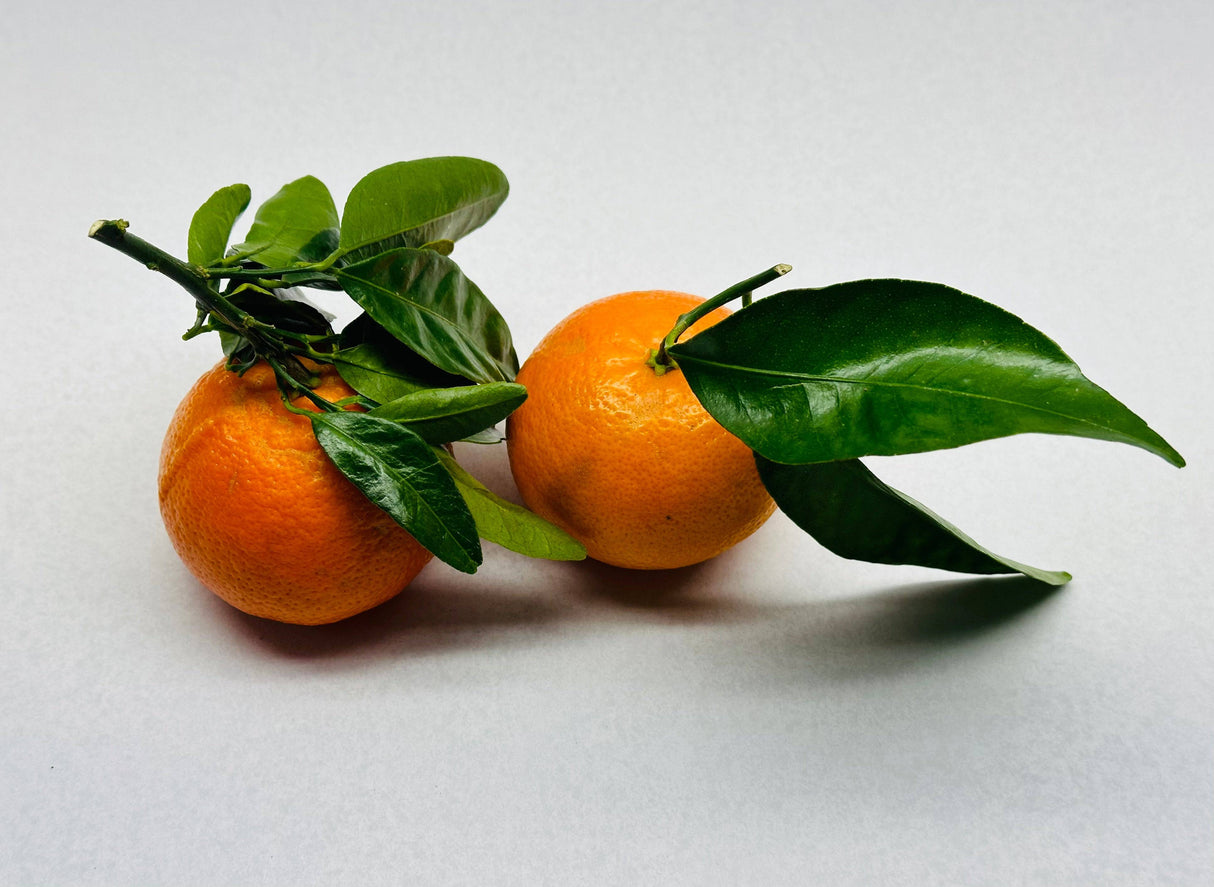 Clementines W/ Leaves - Lb - The Orchard