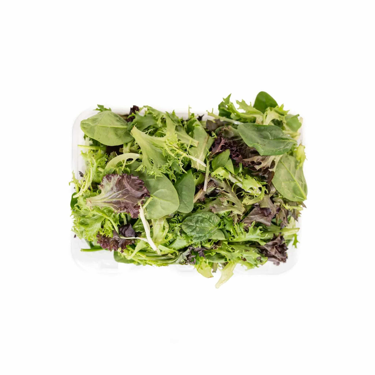 Mesclun - Large - The Orchard