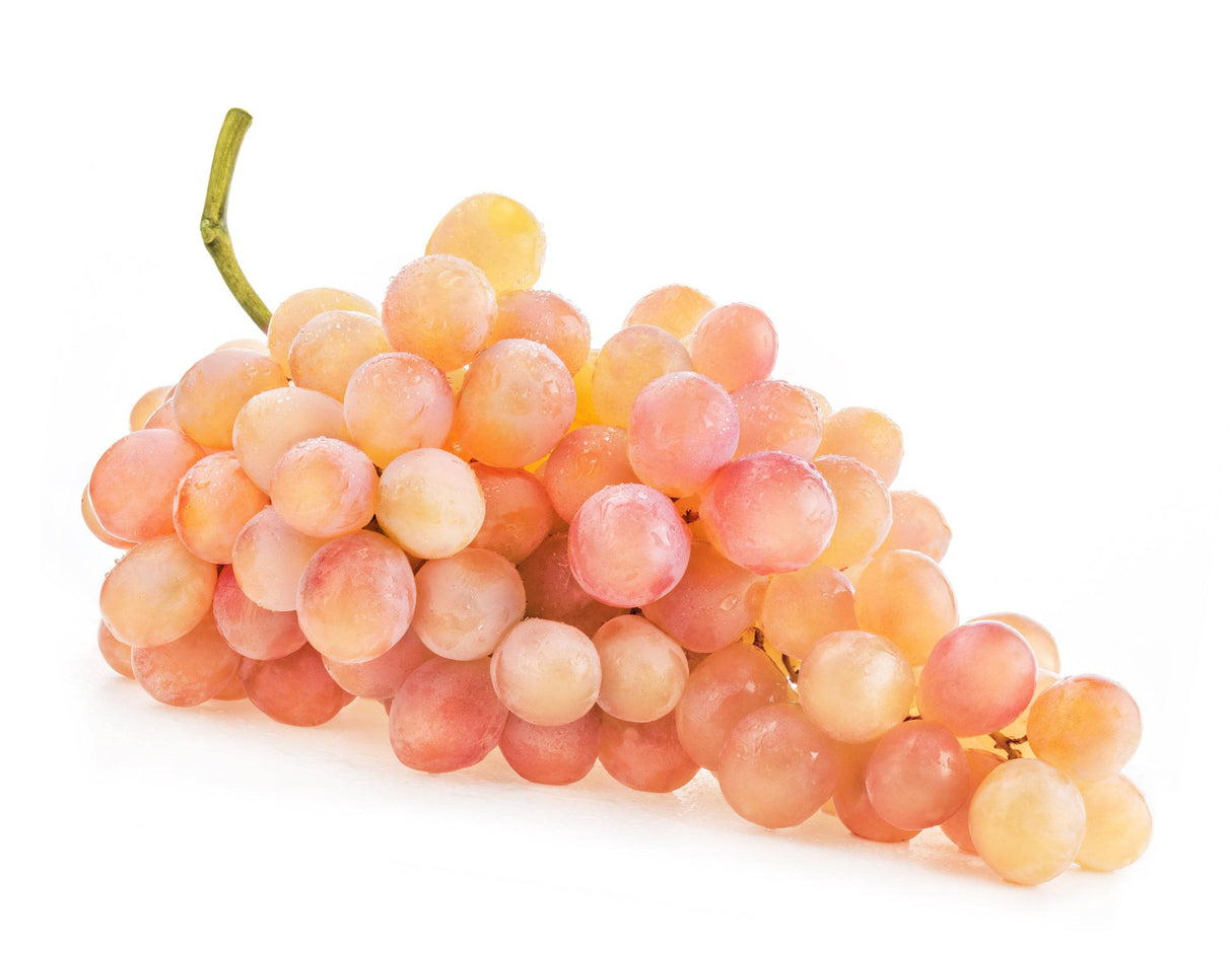Muscat Grapes - Lb - The Orchard