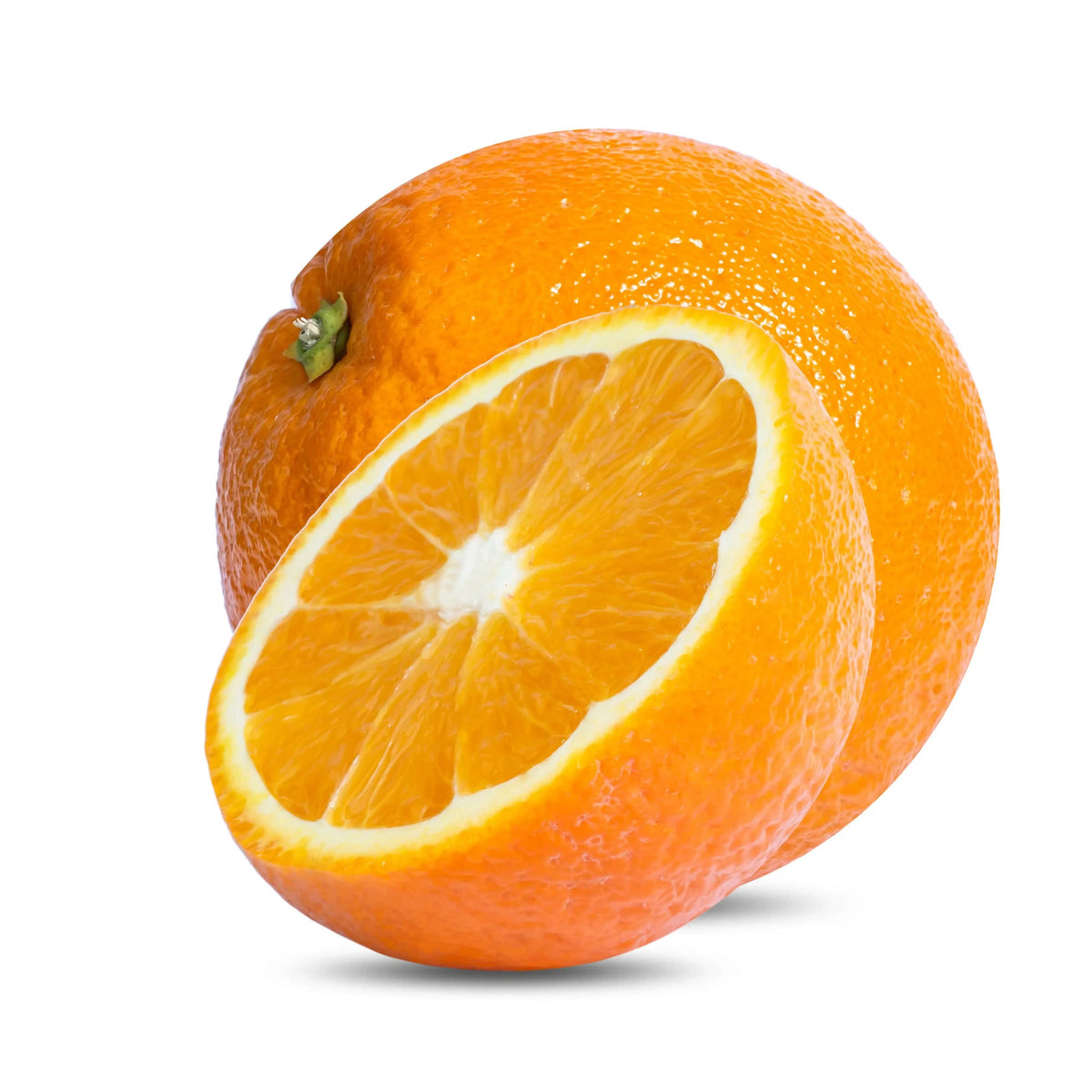 orange 【公式通販】