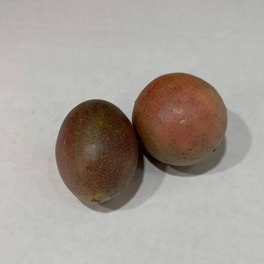 Passion Fruit ( Exotic Fruit )- Pc - The Orchard