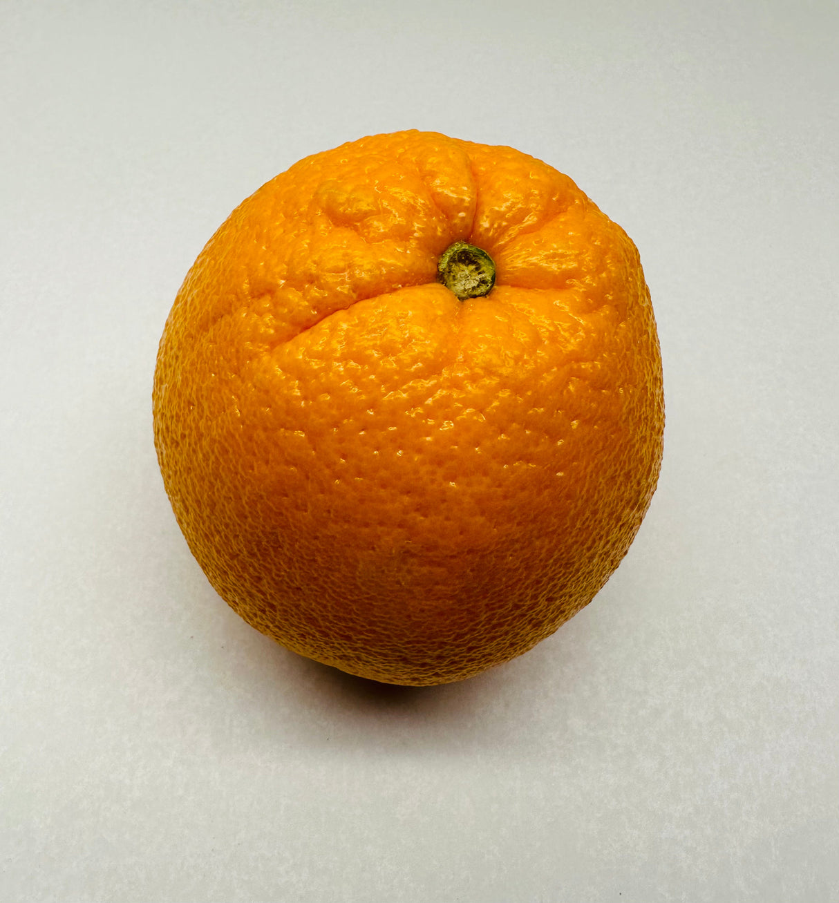 Red Navel - Pc - The Orchard