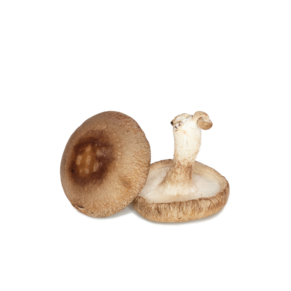 Shiitake Mushrooms - 1LB - The Orchard Fruit