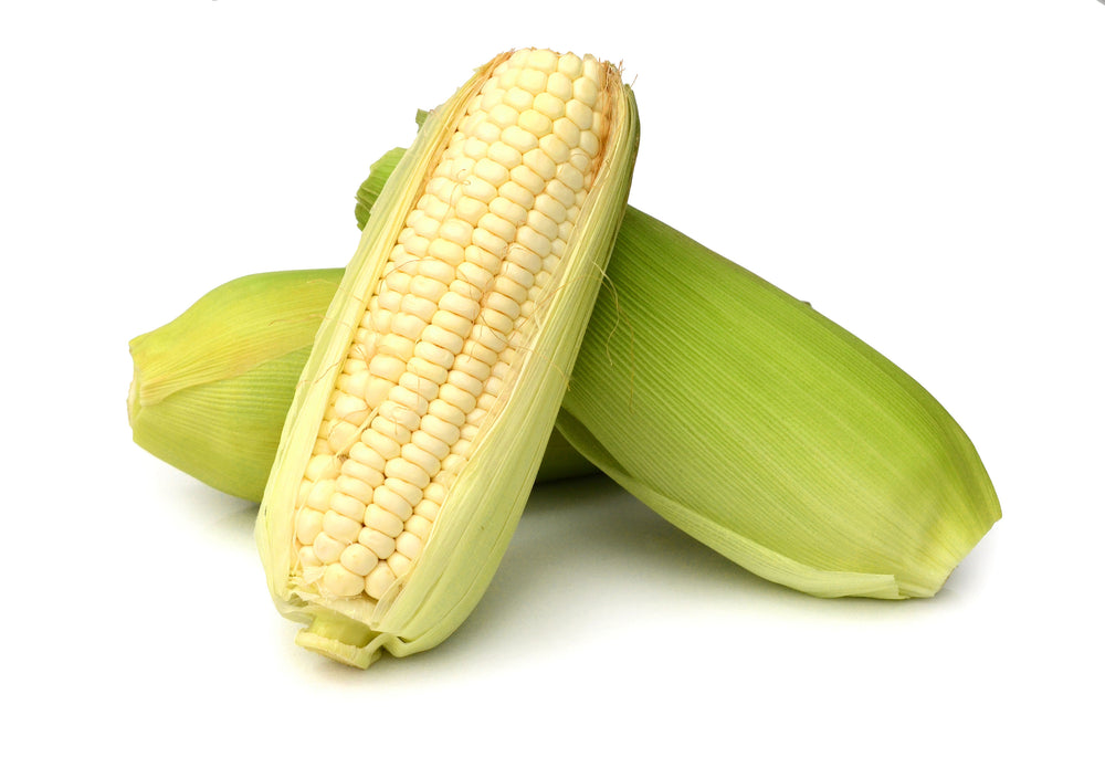 Sweet Corn - Each - The Orchard Fruit