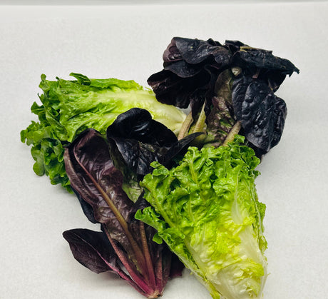 Artisan Lettuce - Cont. - The Orchard