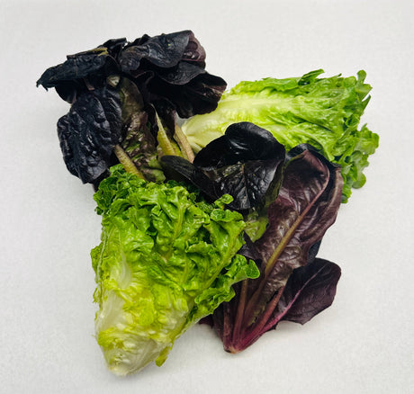 Artisan Lettuce - Cont. - The Orchard