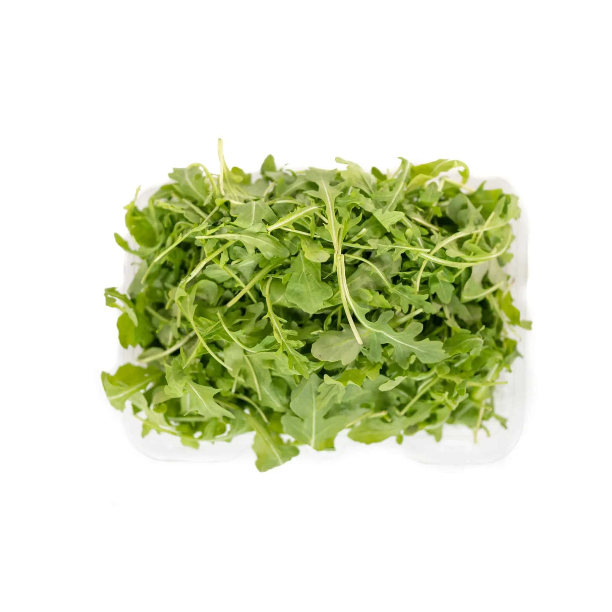 Arugula - Large - The Orchard