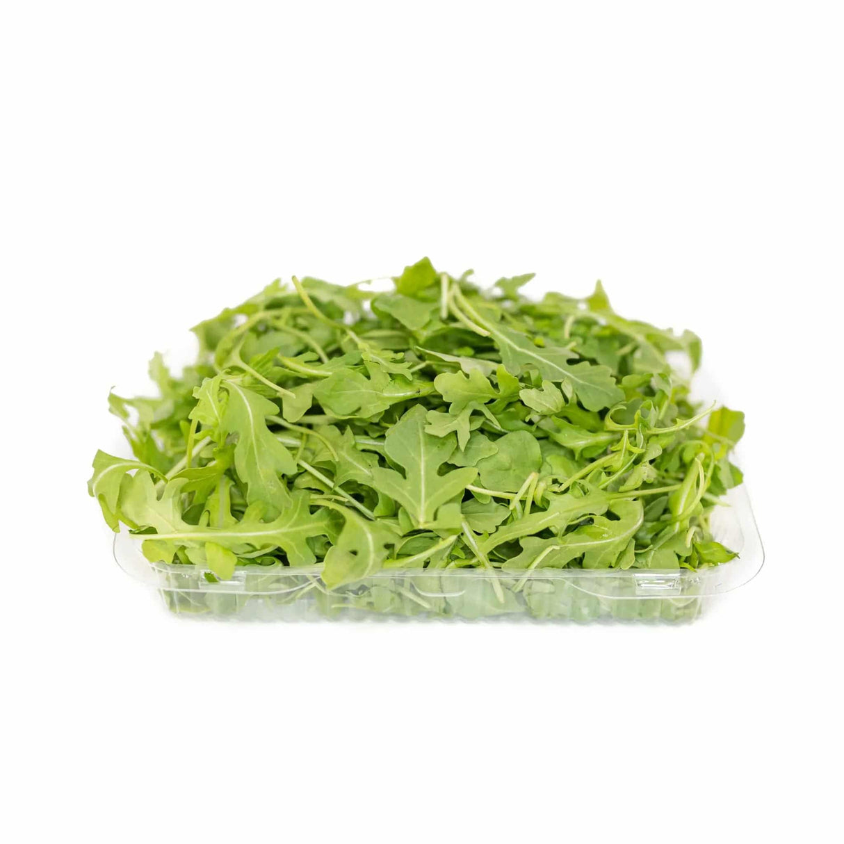 Arugula - Large - The Orchard