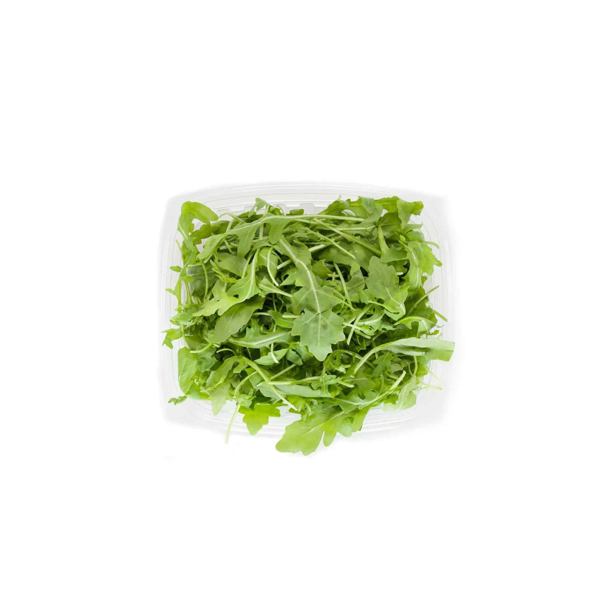 Arugula - Small - The Orchard