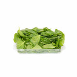 Baby Spinach - Large - The Orchard