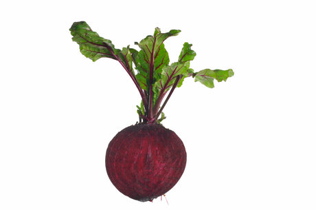 Beets - Bunch - The Orchard