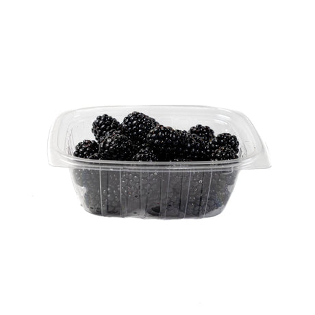 Blackberries - Small - The Orchard