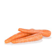 Carrots - Loose Lb - The Orchard