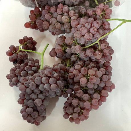 Champagne Grapes - Lb - The Orchard