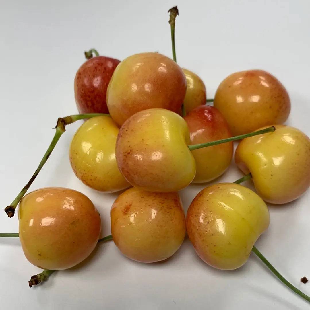 Cherries White - Lb - The Orchard