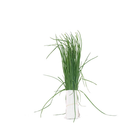Chives - Bunch - The Orchard