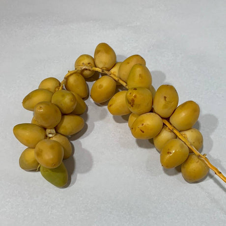 Fresh Dates - Lb - The Orchard