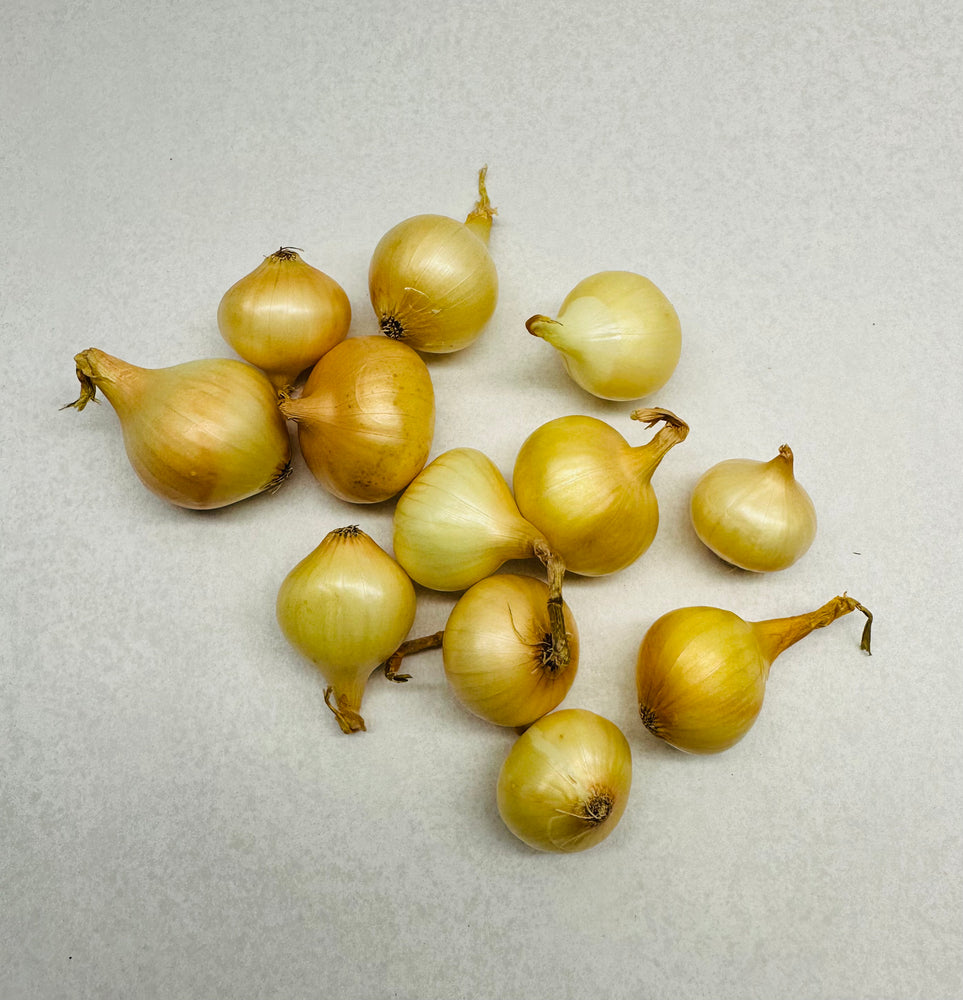 Onion - Gold Pearl 1 lb. - The Orchard Fruit