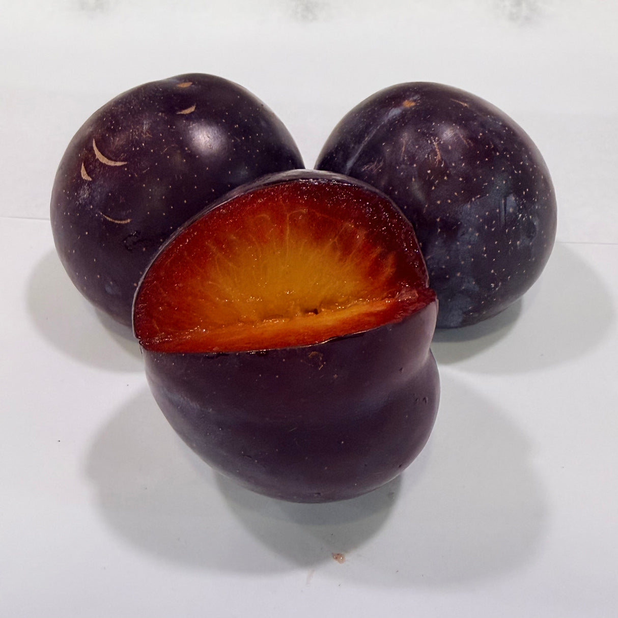 California Plum