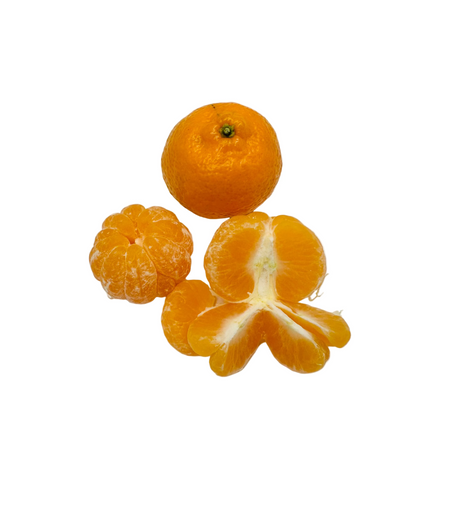 Popcorn Clementines - Lb
