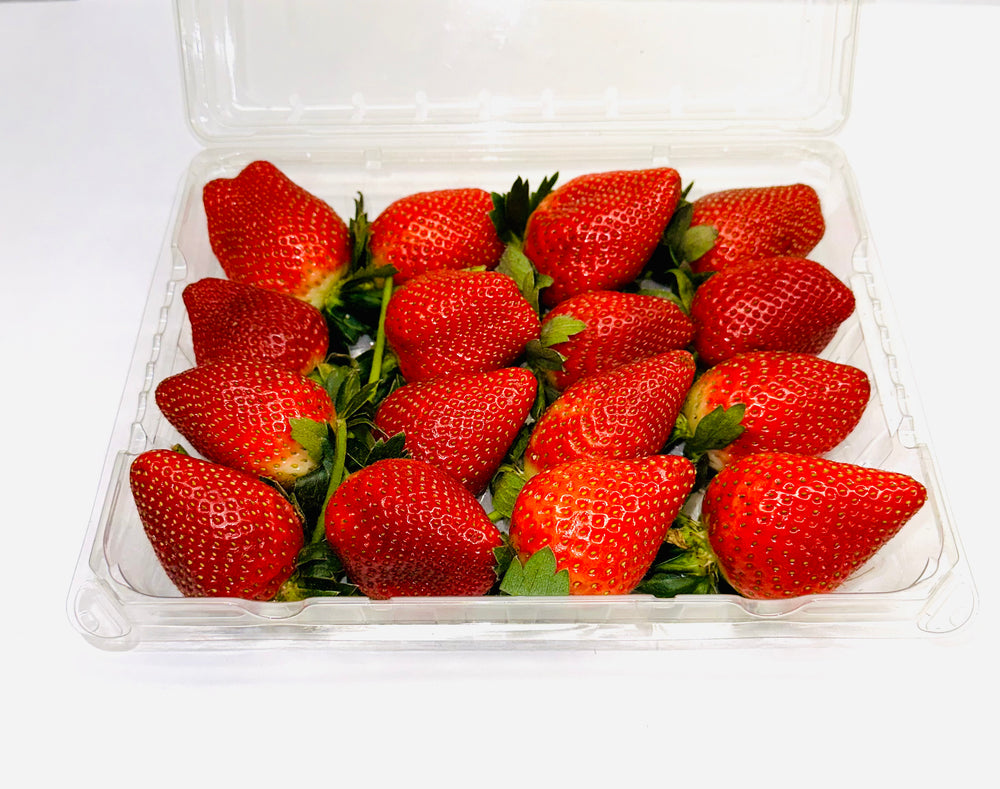 Strawberry Long Stem - Cont - The Orchard Fruit