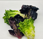 Artisan Lettuce - Cont. - The Orchard Fruit