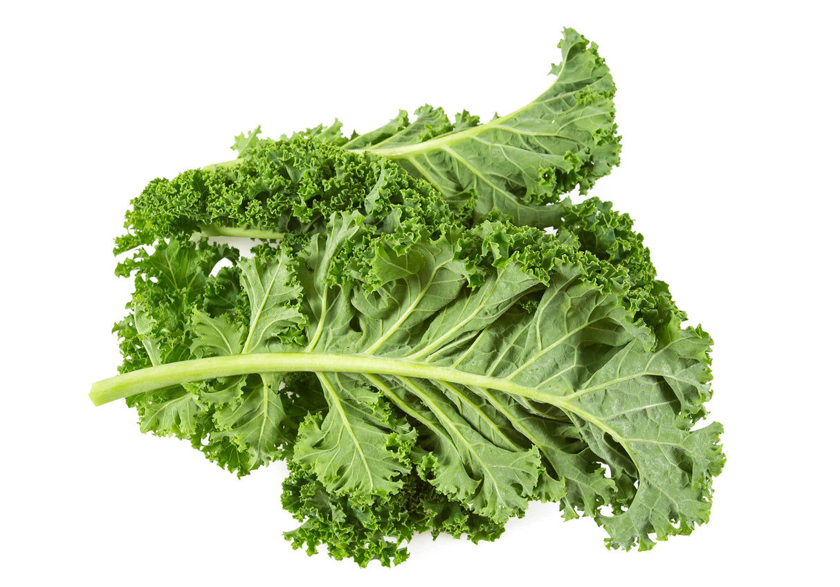 Kale - 1lb. - The Orchard