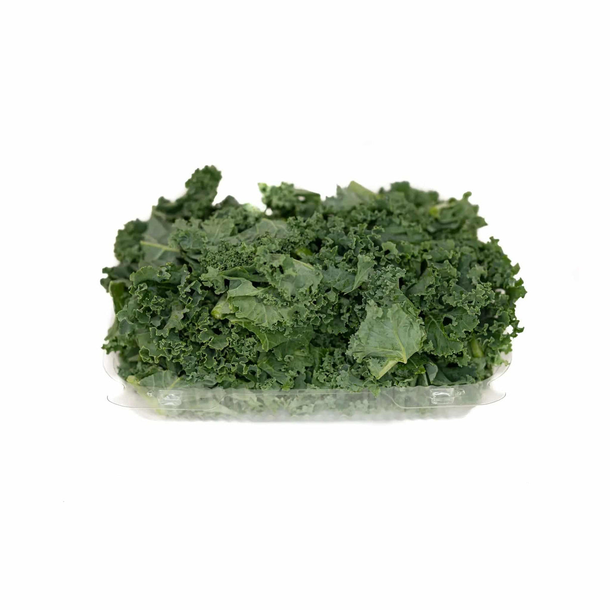 Kale Cut - Large - The Orchard