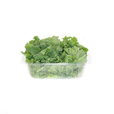 Kale Cut - Small - The Orchard