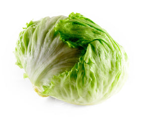 Lettuce  Iceberg - Pc - The Orchard