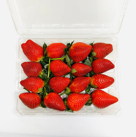 Long Stem Strawberry - Cont - The Orchard