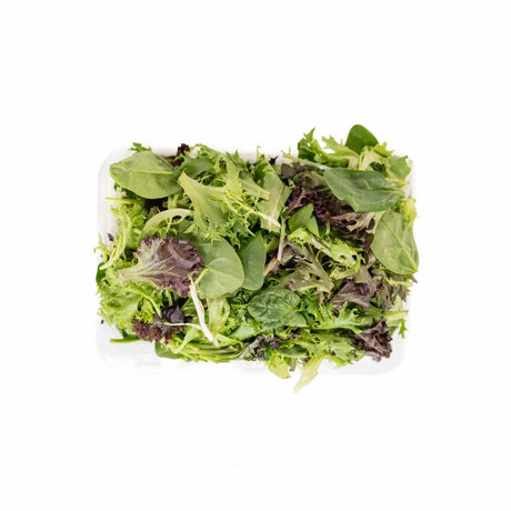 Mesclun - Large - The Orchard