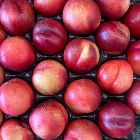 Nectarine White - Lb - The Orchard