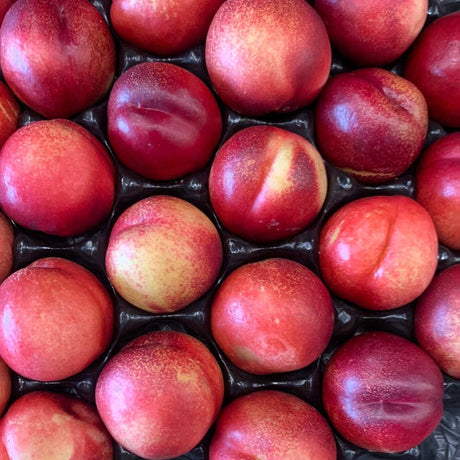 Nectarine White - Lb - The Orchard