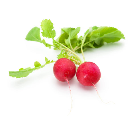 Radish - Bunch - The Orchard