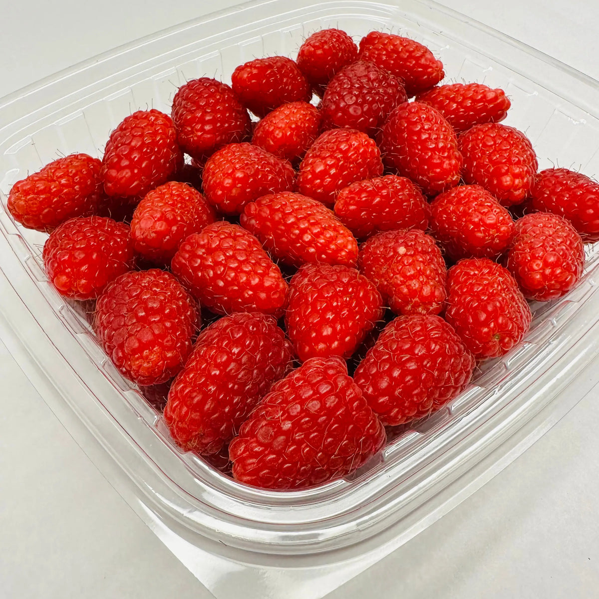 Orchard's Large Raspberries