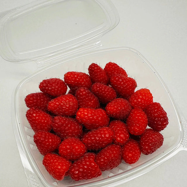 Raspberries - Small - The Orchard