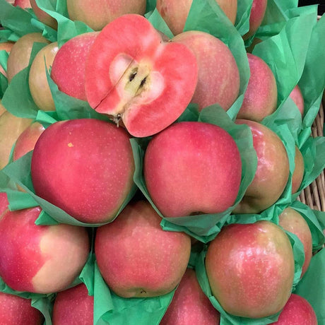 Rose Apple - Lb - The Orchard