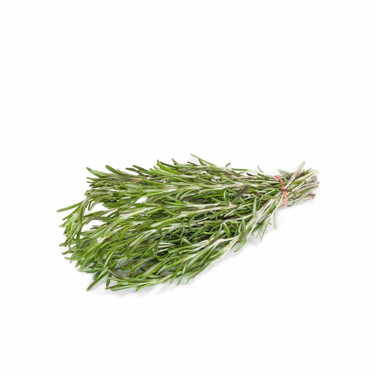 Rosemary - Bunch - The Orchard