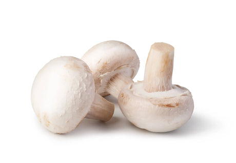 White Mushrooms - 1LB - The Orchard