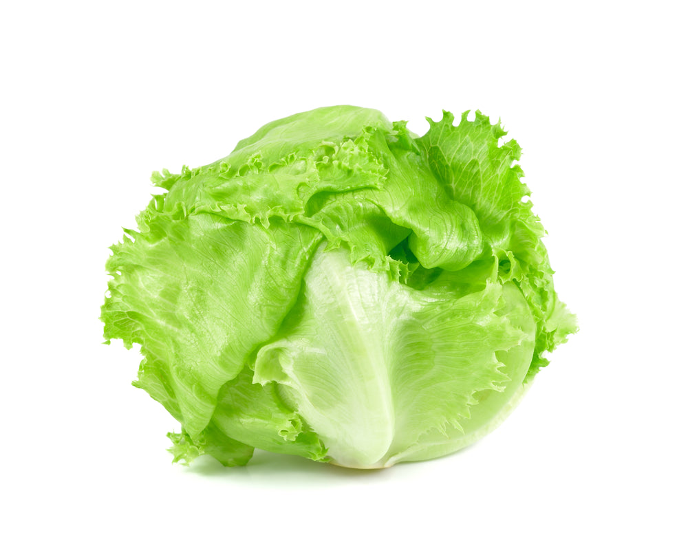 Lettuce - Baby Iceberg - Pc - The Orchard Fruit