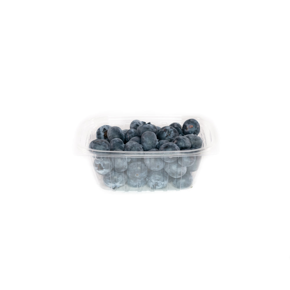 Blueberries - Small - The Orchard Fruit