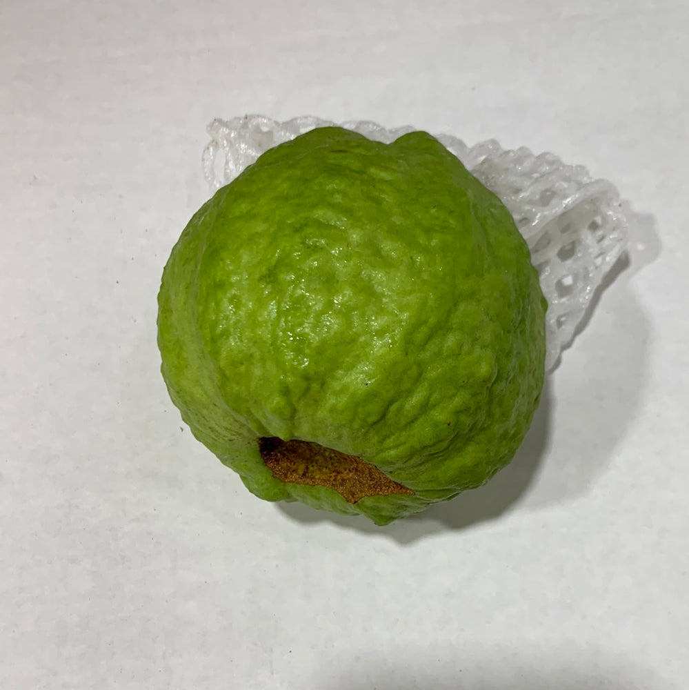 Guava ( Jumbo ) - Lb - The Orchard Fruit