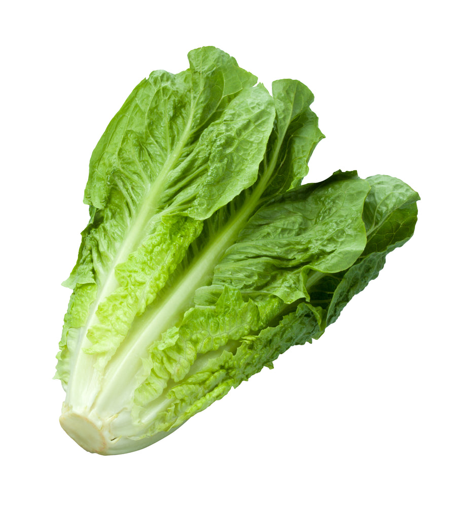 Romaine: 1 Piece - The Orchard Fruit